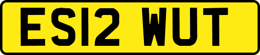 ES12WUT