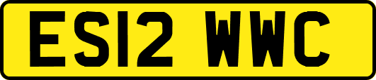 ES12WWC