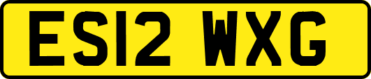 ES12WXG