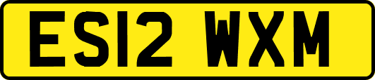 ES12WXM