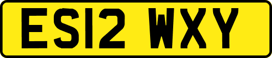 ES12WXY