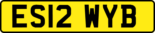 ES12WYB