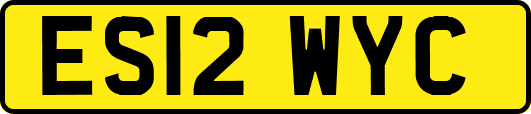 ES12WYC