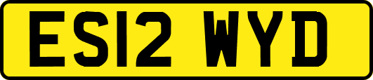 ES12WYD