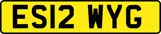 ES12WYG