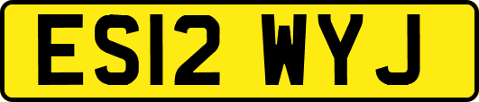 ES12WYJ