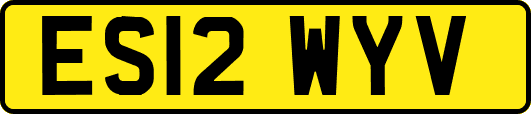 ES12WYV