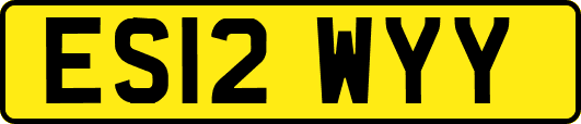 ES12WYY