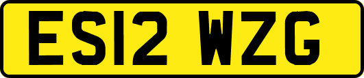 ES12WZG