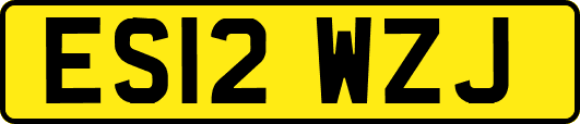 ES12WZJ