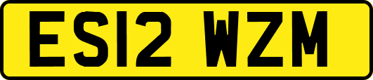 ES12WZM