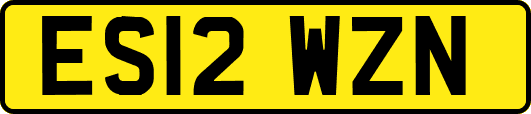 ES12WZN