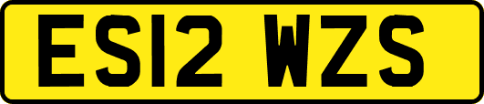 ES12WZS