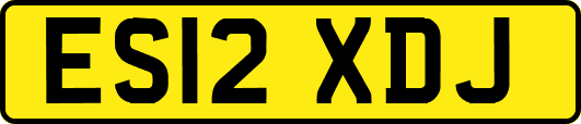 ES12XDJ