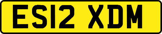 ES12XDM
