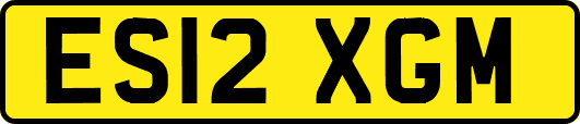 ES12XGM