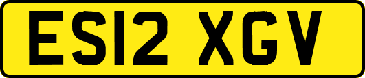 ES12XGV