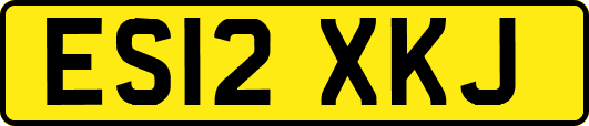 ES12XKJ