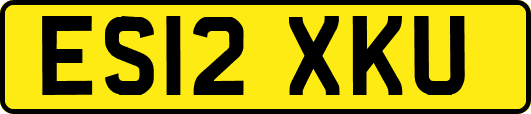 ES12XKU