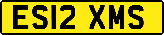 ES12XMS