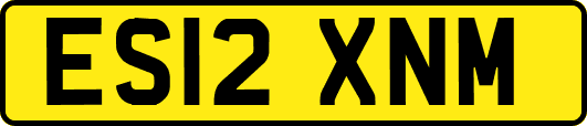 ES12XNM