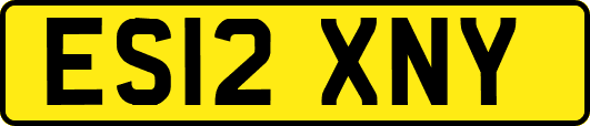 ES12XNY