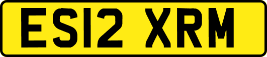 ES12XRM
