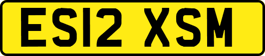 ES12XSM