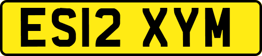ES12XYM