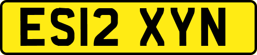 ES12XYN