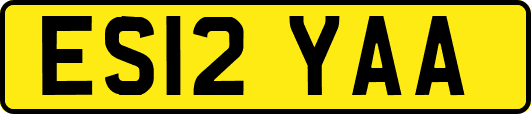 ES12YAA