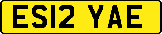 ES12YAE