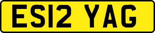 ES12YAG