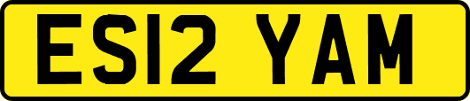 ES12YAM