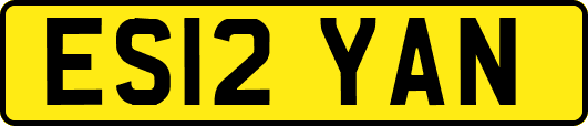 ES12YAN
