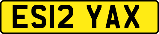 ES12YAX