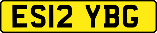 ES12YBG