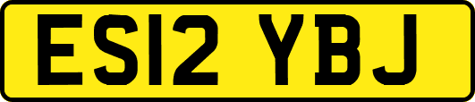 ES12YBJ