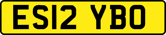 ES12YBO