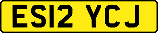 ES12YCJ