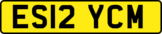 ES12YCM