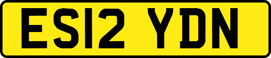 ES12YDN
