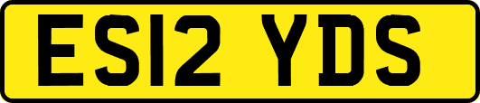 ES12YDS