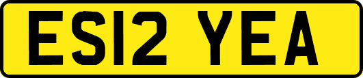 ES12YEA