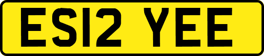 ES12YEE