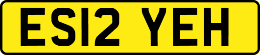 ES12YEH