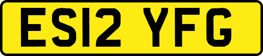 ES12YFG
