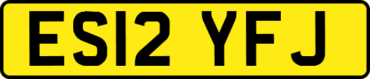 ES12YFJ