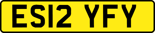 ES12YFY