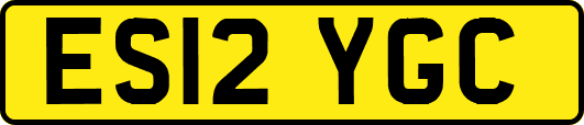 ES12YGC